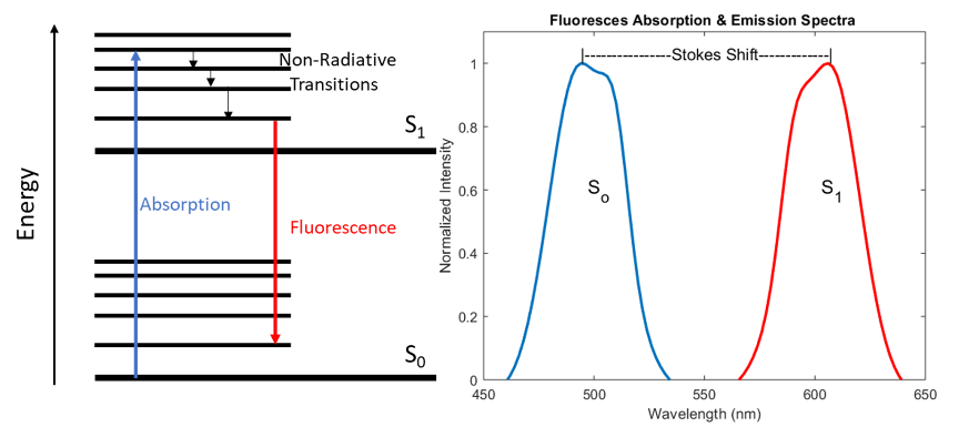 Fluorescence Theory System Design Figure 1