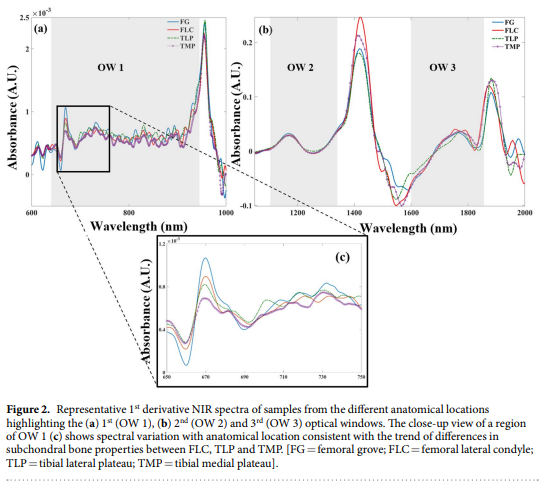 NIR Osteoarthritis Figure 3