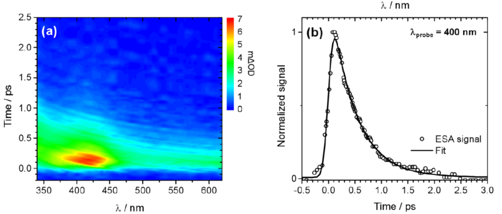 Transient Absorption Spectroscopy Figure 7