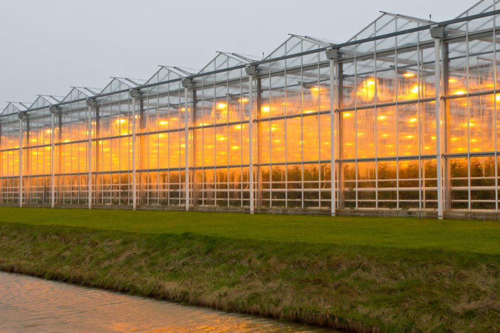 Greenhouse
